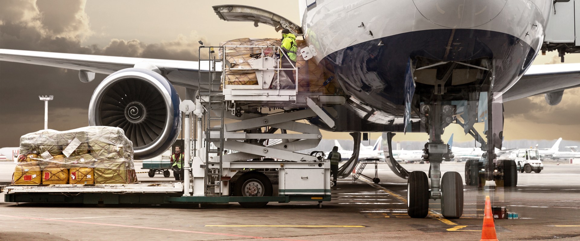 Airlines and Air Cargo Carriers: Global Shipping Solutions