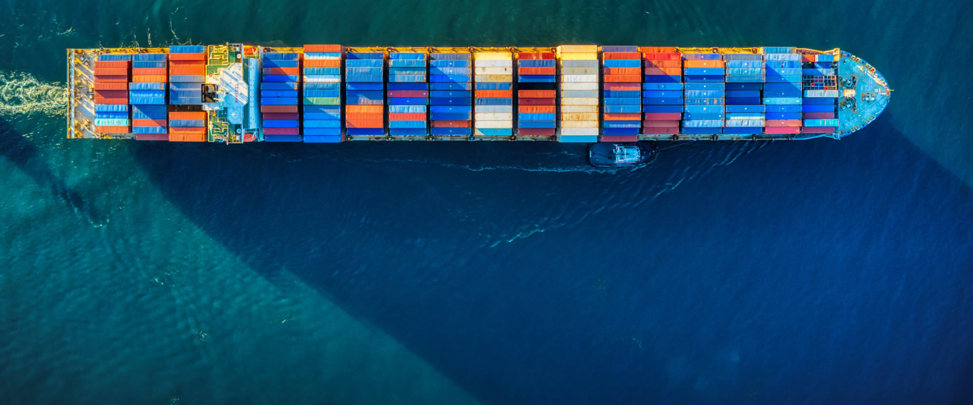 The Importance of Checking Reviews and References in International Freight Forwarding